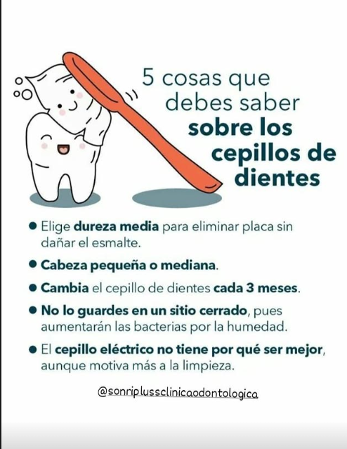 Consejos visuales para elegir, renovar y guardar correctamente el cepillo dental.
